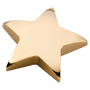 Metal Star Paperweight - Laser Engraved Gift