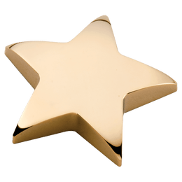 Metal Star Paperweight - Laser Engraved Gift