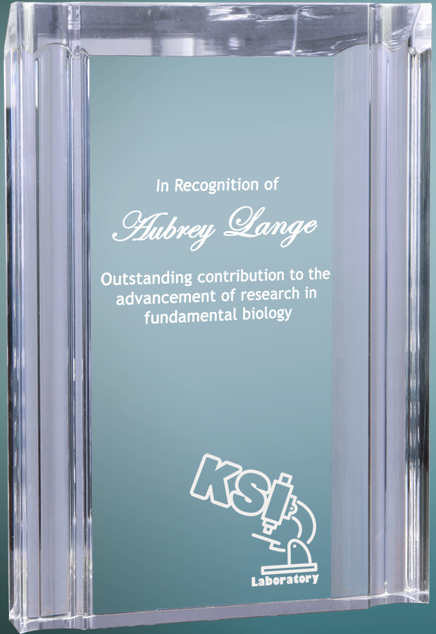 Channel Acrylic - Custom Engraved Award