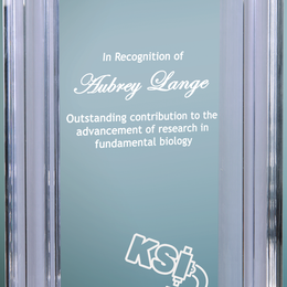 Channel Acrylic - Custom Engraved Award