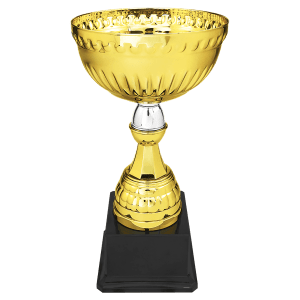 Gold/Silver Metal Cup with Plastic Stem and Base - Custom Laser Engraved