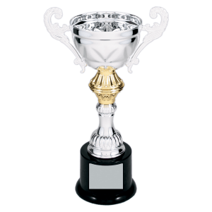 Silver Metal Chalice Cup Trophy - Premium Fully Assembled - Custom Engraved Trophy