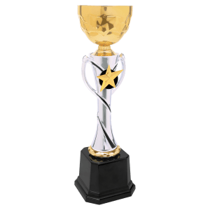 Silver-Gold Star Metal Cup Trophy - Custom Engraved Trophy