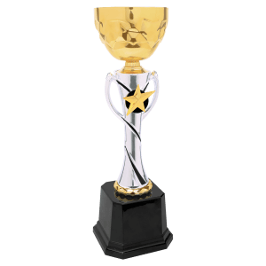 Silver-Gold Star Metal Cup Trophy - Custom Engraved Trophy