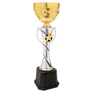 Silver-Gold Star Metal Cup Trophy - Custom Engraved Trophy
