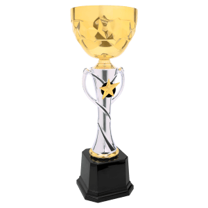 Silver-Gold Star Metal Cup Trophy - Custom Engraved Trophy