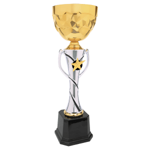 Silver-Gold Star Metal Cup Trophy - Custom Engraved Trophy