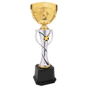 Silver-Gold Star Metal Cup Trophy - Custom Engraved Trophy