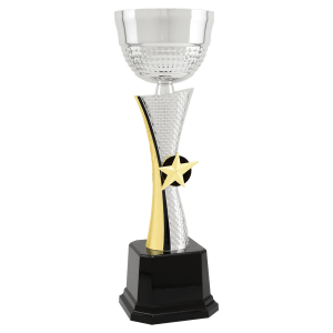Textured Metal Cup Trophy - Silver/Gold Fully Assembled - Custom Engraved Trophy