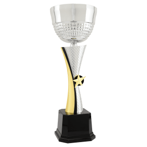 Textured Metal Cup Trophy - Silver/Gold Fully Assembled - Custom Engraved Trophy