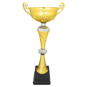 Gold-Silver Metal Banded Chalice Cup Trophy - Custom Engraved Trophy