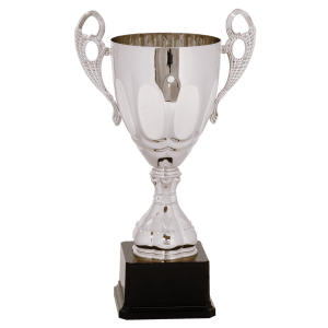 Silver Metal Ornate Cup Trophy - Premium Frosted Panels - Custom Engraved Trophy