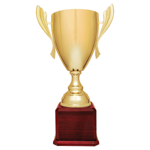 Metal Cup Trophy on Rosewood Piano Finish Base - Custom Engraved Trophy