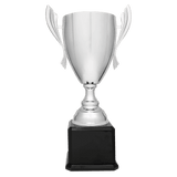 Metal Cup Trophy on Piano Finish Base - Custom Engraved Trophy