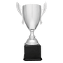 Metal Cup Trophy on Piano Finish Base - Custom Engraved Trophy