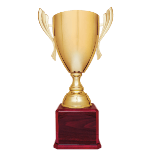Metal Cup Trophy on Rosewood Piano Finish Base - Custom Engraved Trophy