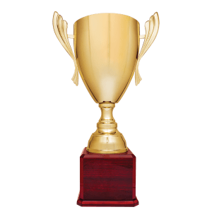 Metal Cup Trophy on Rosewood Piano Finish Base - Custom Engraved Trophy