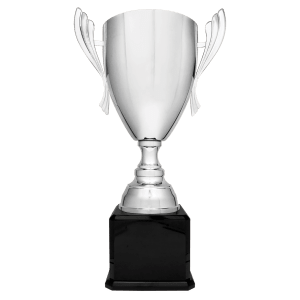 Metal Cup Trophy on Piano Finish Base - Custom Engraved Trophy