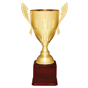 Metal Cup Trophy on Rosewood Piano Finish Base - Custom Engraved Trophy