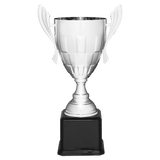 Metal Cup Trophy on Piano Finish Base - Custom Engraved Trophy