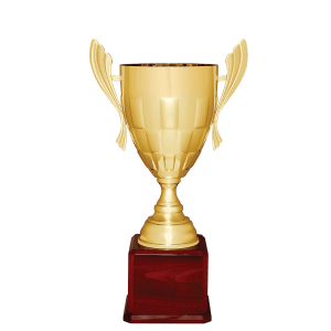Metal Cup Trophy on Rosewood Piano Finish Base - Custom Engraved Trophy