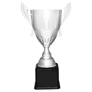Metal Cup Trophy on Piano Finish Base - Custom Engraved Trophy