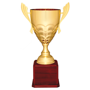 Metal Cup Trophy on Rosewood Piano Finish Base - Custom Engraved Trophy