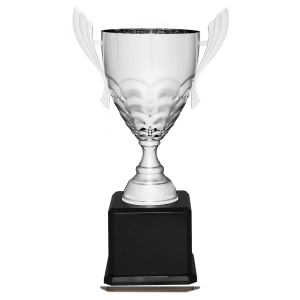 Metal Cup Trophy on Piano Finish Base - Custom Engraved Trophy
