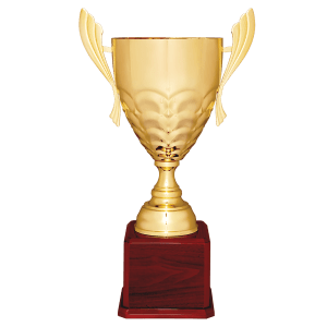 Metal Cup Trophy on Rosewood Piano Finish Base - Custom Engraved Trophy
