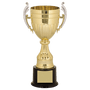 Plastic Cup Trophy - Gold/Silver Affordable Championship Award - Custom Engraved Trophy