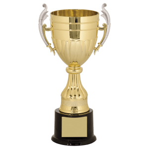 Plastic Cup Trophy - Gold/Silver Affordable Championship Award - Custom Engraved Trophy