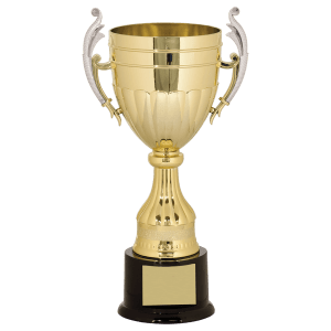 Plastic Cup Trophy - Gold/Silver Affordable Championship Award - Custom Engraved Trophy