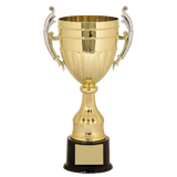 Plastic Cup Trophy - Gold/Silver Affordable Championship Award - Custom Engraved Trophy