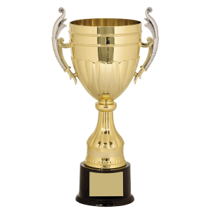 Plastic Cup Trophy - Gold/Silver Affordable Championship Award - Custom Engraved Trophy