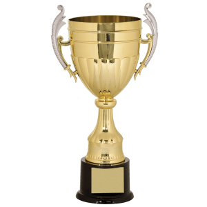 Plastic Cup Trophy - Gold/Silver Affordable Championship Award - Custom Engraved Trophy