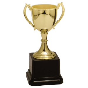 Zinc Chalice Cup Trophy - Premium Metal Award - Custom Engraved Trophy