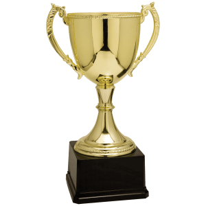 Zinc Chalice Cup Trophy - Premium Metal Award - Custom Engraved Trophy