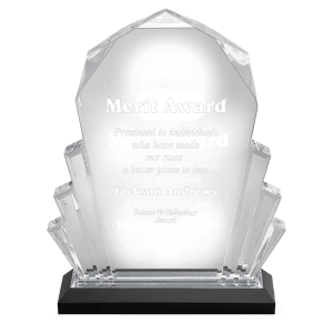 Faceted Impress Acrylic - Custom Engraved Award