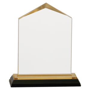 Jewel Impress Acrylic - Custom Engraved Award
