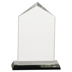 Jewel Impress Acrylic - Custom Engraved Award