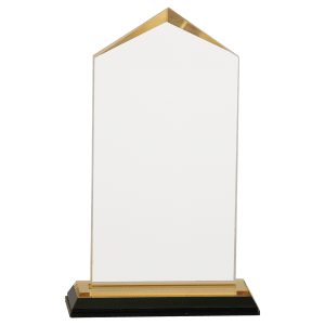 Jewel Impress Acrylic - Custom Engraved Award