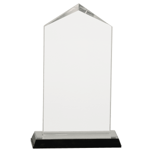 Jewel Impress Acrylic - Custom Engraved Award