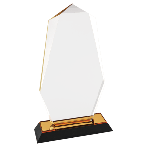 Octagon Point Impress Acrylic - Custom Engraved Award
