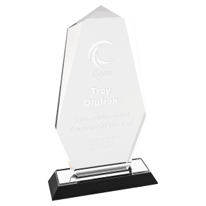 Octagon Point Impress Acrylic - Custom Engraved Award