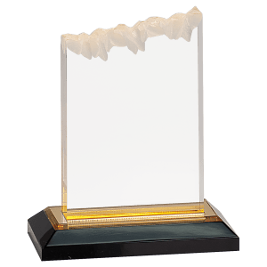 Frosted Impress Acrylic - Custom Engraved Award