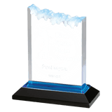 Frosted Impress Acrylic - Custom Engraved Award
