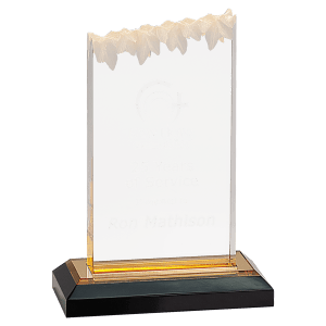 Frosted Impress Acrylic - Custom Engraved Award