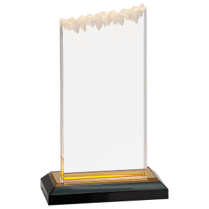 Frosted Impress Acrylic - Custom Engraved Award