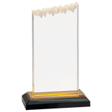 Frosted Impress Acrylic - Custom Engraved Award