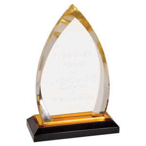 Oval Impress Acrylic - Custom Engraved Award